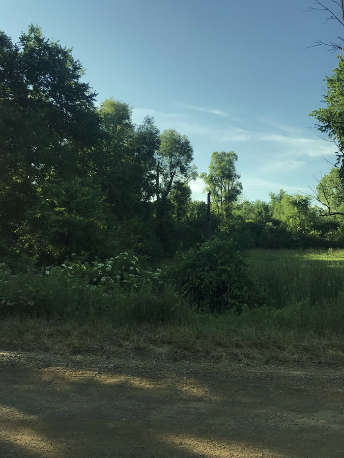 Stony Run - July 2020 Photo (newer photo)